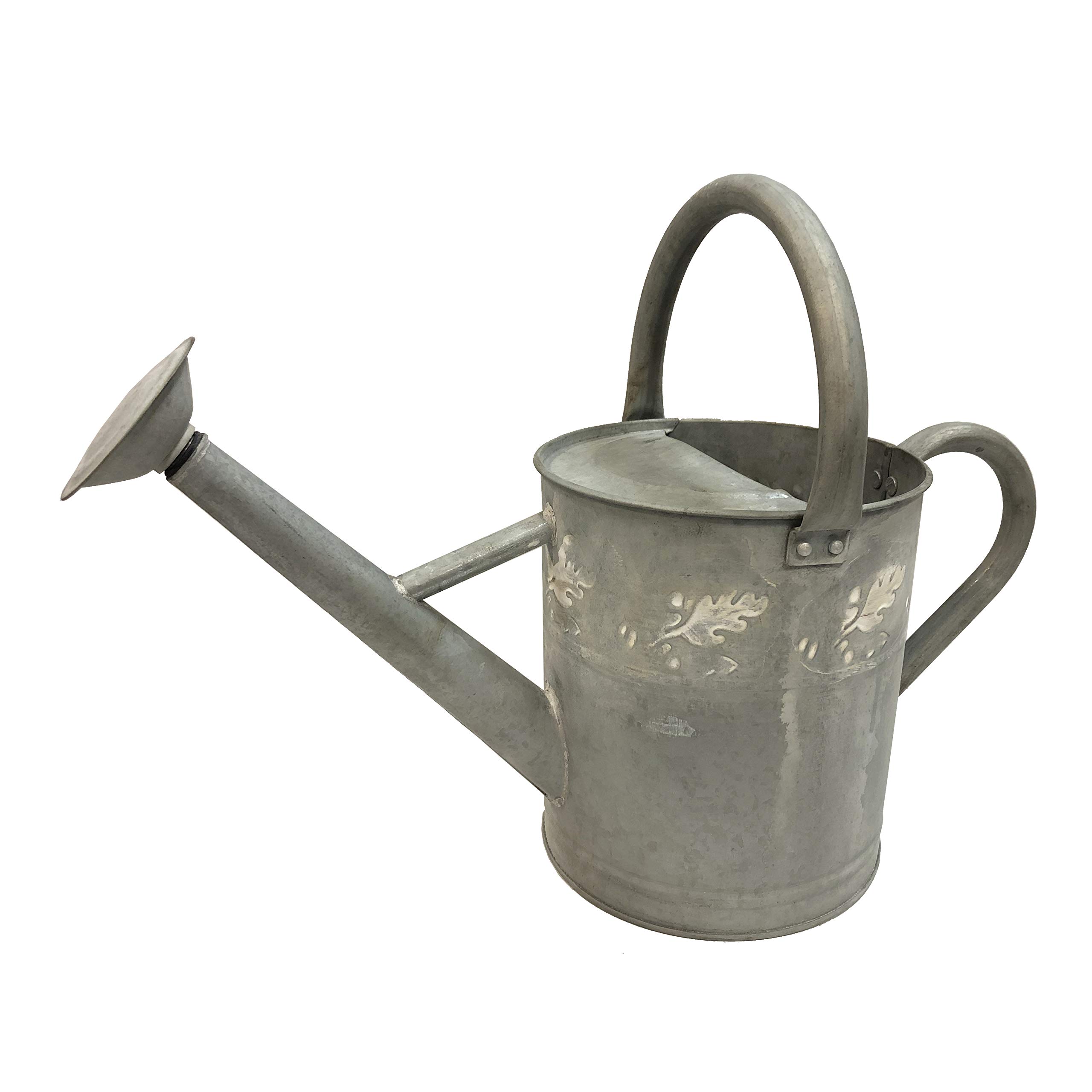 アンティーク　アルミピッチャー Amazon.com : Gardener Select (W3005ZH) Metal Watering Can - Modern